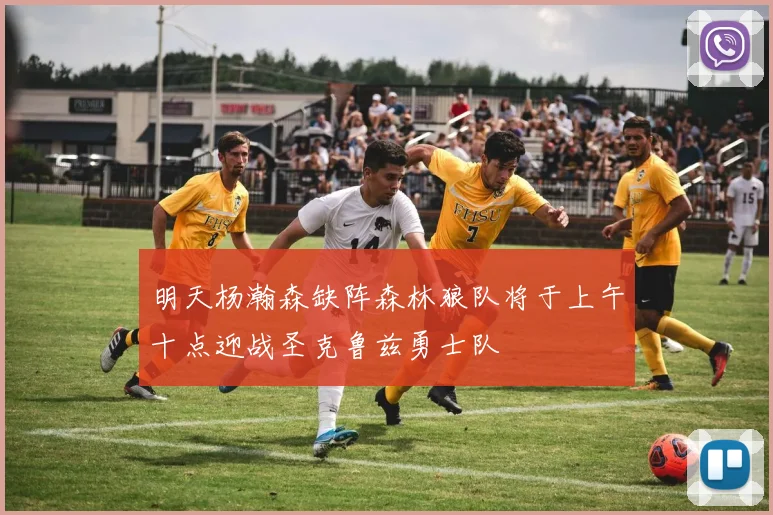 明天杨瀚森缺阵森林狼队将于上午十点迎战圣克鲁兹勇士队
