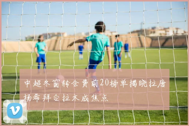 中超冬窗转会费前20榜单揭晓拉唐杨希拜合拉木成焦点