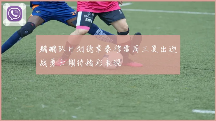 鹈鹕队计划德章泰穆雷周三复出迎战勇士期待精彩表现