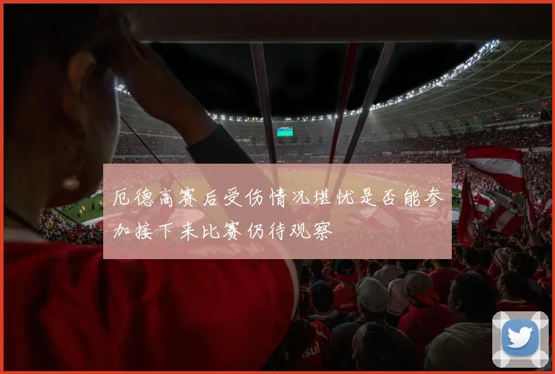 厄德高赛后受伤情况堪忧是否能参加接下来比赛仍待观察