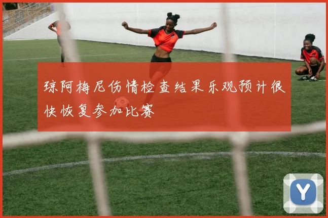 琼阿梅尼伤情检查结果乐观预计很快恢复参加比赛